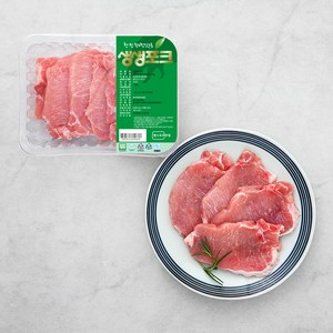 생생포크 한돈 무항생제 인증 등심 돈까스 (냉장), 500g, 1팩