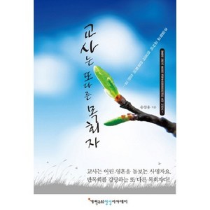 교사는 또 다른 목회자:주일학교 교사의 영성과 반목회의 모든 것, 개혁주의영성아카데미, 송삼용 저