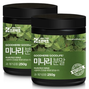 조은약초 프리미엄 미나리 분말, 250g, 2개