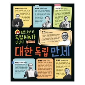 대한 독립 만세:불꽃처럼 산 독립운동가 이야기, 노란돼지, 상세 설명 참조