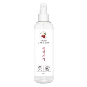 더허브샵 차량&섬유 탈취제 250ml, 1개, 블랙체리