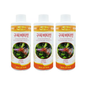 국제프리츠 원터치 구피 비타민, 250ml, 3개