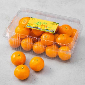 귤탐 당도선별 11bix 감귤(로열과), 1.5kg, 1팩
