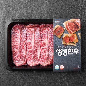 생생한우 1등급 부채살 구이용 (냉장), 200g, 1개