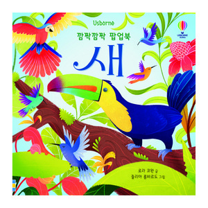 Usborne깜짝깜짝 팝업북: 새:, 어스본코리아, 로라 코완