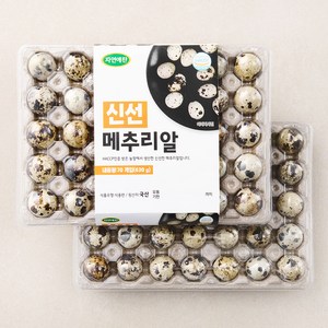 자연애찬 신선 메추리알 70구, 630g, 1개