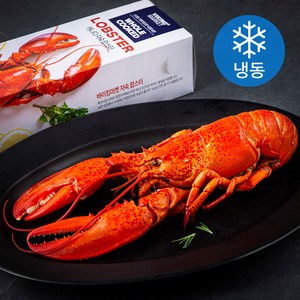 바이킹마켓 캐나다산 자숙 랍스터 (냉동), 600g 내외, 1개