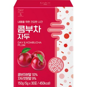 데이앤 콤부차 자두, 5g, 30개입, 1개