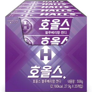 호올스 블루베리향 캔디, 27.9g, 20개