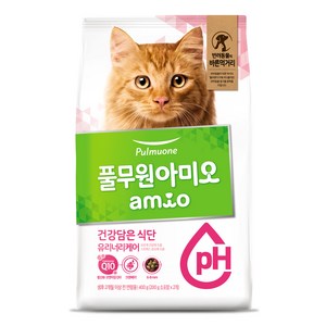 풀무원아미오 고양이 건강담은 식단 기능성 사료, 유리너리+결석, 400g, 1개