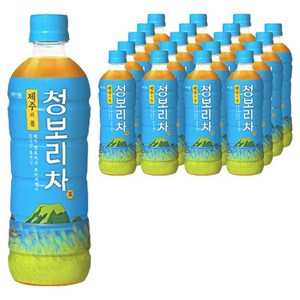 쟈뎅 제주의 봄 청보리차, 500ml, 20개