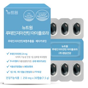 뉴트원 루테인지아잔틴 아이플로라 7.5g, 30정, 1개