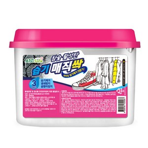 매직싹 참숯 활성탄 습기제거, 250g, 1개