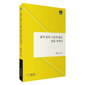 귤과 달과 그토록 많은 날들 속에서, 푸른사상, 홍순영