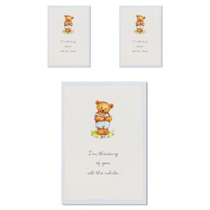 홀마크 다목적 블랭크 카드, C8163, 3세트