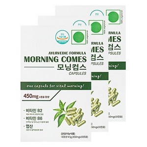 모닝컴스 아유르베딕 포뮬라 퀵 케어 캡슐 4.5g, 10정, 3개