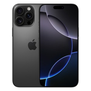 Apple 정품 아이폰 16 Pro Max 자급제, 블랙 티타늄, 256GB