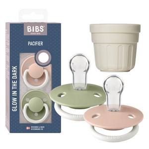 BIBS 디럭스 실리콘 쪽쪽이 2p + 전용캡 세트, ONE SIZE(36개월 미만), 4 블러쉬 야광 & 세이지 야광, 1세트