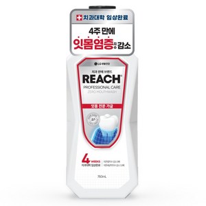 리치 프로페셔널 잇몸 전문 제로 구강청결제, 1개, 760ml