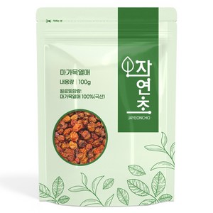 건조 마가목열매, 100g, 1개