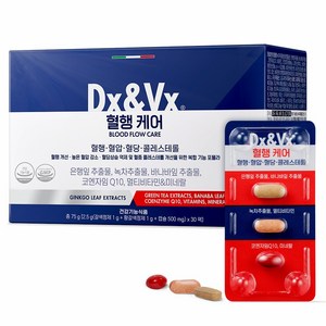 디엑스앤브이엑스 덱스벡스 혈행케어, 30회분, 75g, 1개