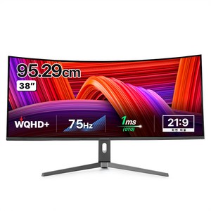 크로스오버 WQHD+ IPS TYPE-C PD 울트라와이드 커브드 모니터, 95cm, 38LGD66C(일반)