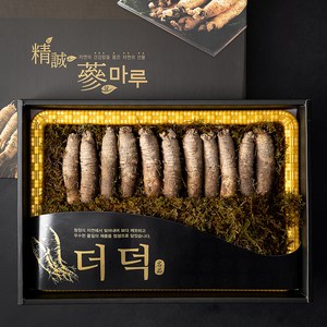 몸애조화 더덕 선물세트, 600g, 1세트