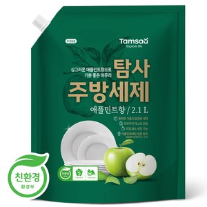 탐사 친환경 주방세제 애플민트향, 2.1L, 1개