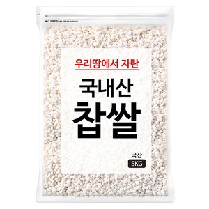 국내산 찹쌀, 5kg, 1개