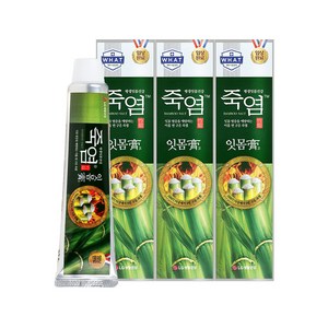 죽염 잇몸고 치약, 140g, 3개