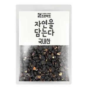 조은약초 오가피 열매, 300g, 1개