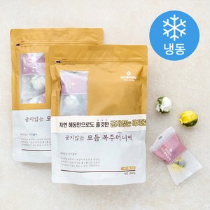 아리울떡공방 굳지않는 모듬 복주머니떡 (냉동), 2팩, 600g