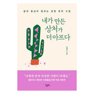 내가 만든 상처가 더 아프다:삶의 중심이 잡히는 감정 관리 수업, 달콤북스, 김병수