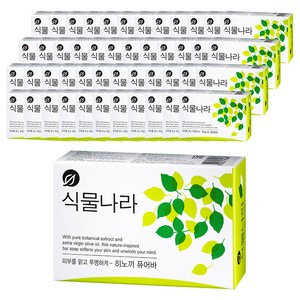 식물나라 비누 히노끼 퓨어바, 100g, 48개