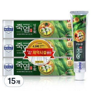 죽염 잇몸고 치약, 120g, 15개