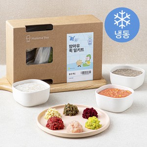 맘마유 퀵 밀키트 묽은죽 E플랜 480g (냉동), 1세트, 혼합맛(한우/고구마/가지/닭가슴살/비트/흰살생선/새송이)