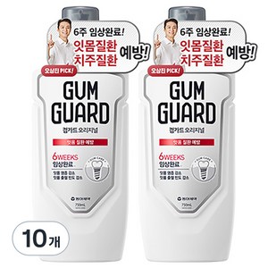 검가드 오리지널 구강청결제, 750ml, 10개