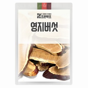 조은약초 영지버섯, 500g, 1개