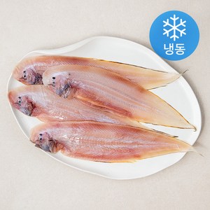 아라장 반건조 군산박대 (냉동), 520g(32cm내외, 4마리), 1개