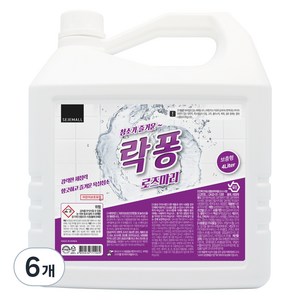 락퐁 욕실세정제 로즈마리향, 4L, 6개