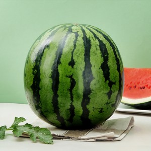당도선별 11bix 수박, 10kg 미만, 1개