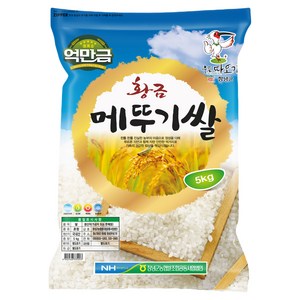 억만금 창녕군 2024년산 햅쌀 황금 메뚜기쌀 백미, 상, 5kg, 1개