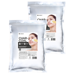 린제이 프리미엄 차콜 모델링팩 1kg, 1개입, 2개