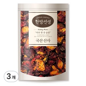 한방선생 산사 특품, 150g, 3개