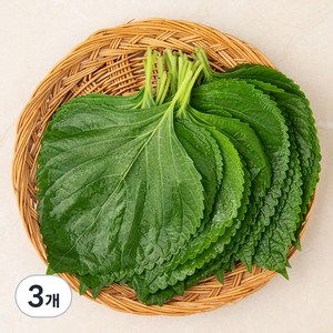 유기농 깻잎, 50g, 3팩