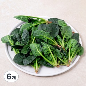 국내산 베이비 시금치, 100g, 6개