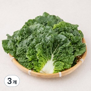 국내산 쌈추, 200g, 3개