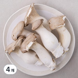 못생겨도 맛있는 새송이버섯, 600g, 4개