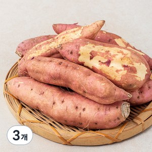 못생겨도 맛있는 호박고구마(햇), 1.5kg, 3봉