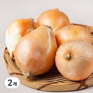 국내산 친환경 양파 (햇), 800g, 2개